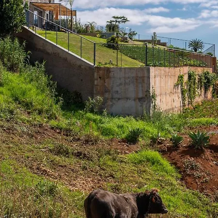Fauna Calheta Infinity Pool & Nature Views